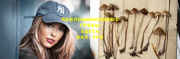 не бодяженный Алзамай