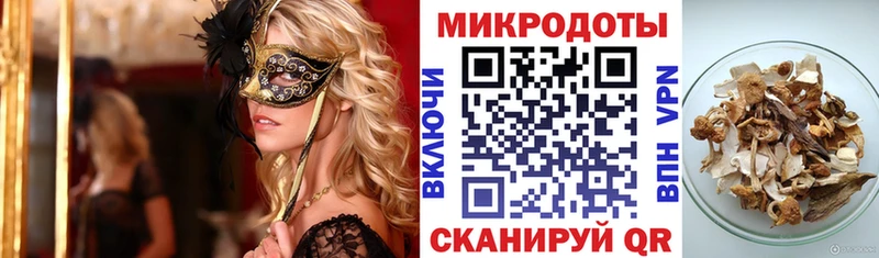 Псилоцибиновые грибы Cubensis  кракен зеркало  Поронайск 